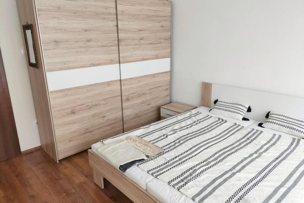 Plaza Apartman - City Center, Free Parking, Free Wifi Debrecen Eksteriør bilde